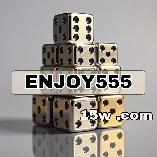 enjoy555 Segurança